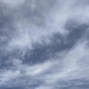 Swear that im with it (feat. Jomo) (Explicit)