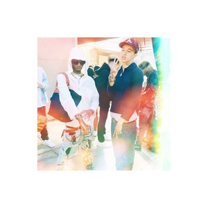 Moringa Tree (Explicit)