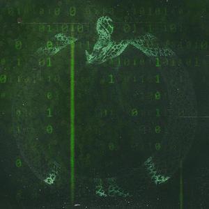 Oakcity Wavelength v2 (feat. 919 Zero) (Explicit)