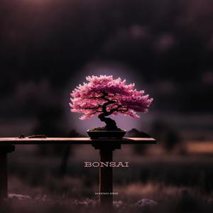 BONSAI (Explicit)