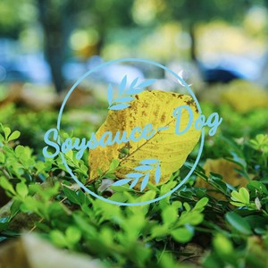 Project 100 (伴奏)