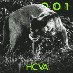 HCVA001