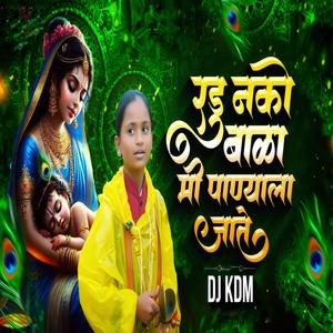 Radu Nako Bala Mi Panyala Jate रडु नको बाळा मी पाण्याला जाते Dj