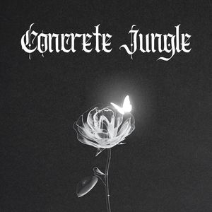 Concrete Jungle: Trap Rap Beats