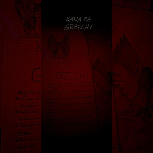 KARA ZA GRZECHY