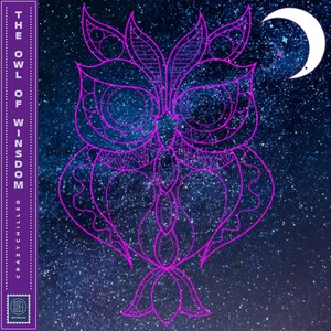 The Owl of Winsdom
