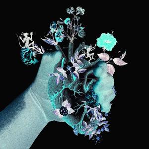 Typhoid and Swans(feat. Falky) (Explicit)