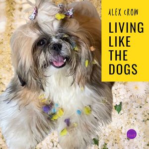 Living Like The Dogs (Acústico)