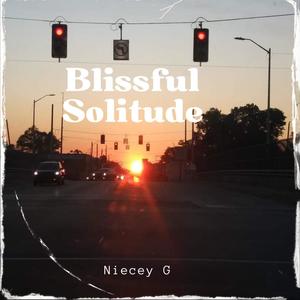 Blissful Solitude (Explicit)