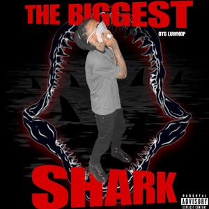 The Biggest Shark (Explicit)