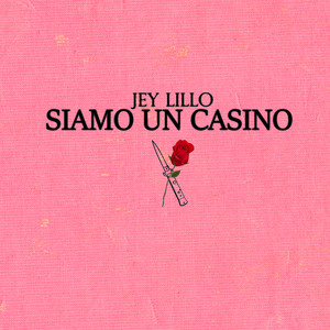 Siamo un casino