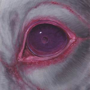 IMMOLATION DANCE (Explicit)