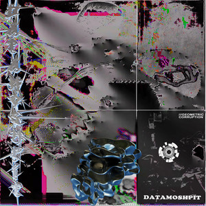 Glimpse of perception