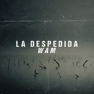 La Despedida (Explicit)