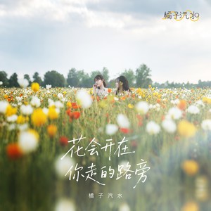 花会开在你走的路旁
