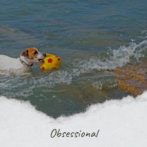 Obsessional