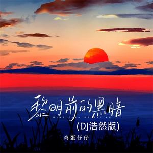 黎明前的黑暗 (DJ浩然版)