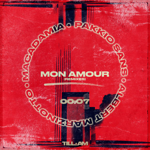 MON AMOUR (Leo Gira Remix)