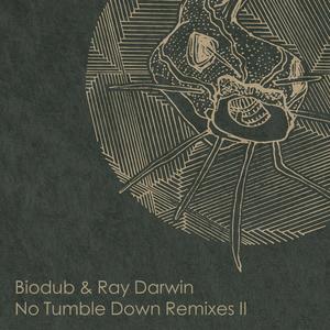 No Tumble Down(feat. Ray Darwin) (Frango & Simstah Remix)
