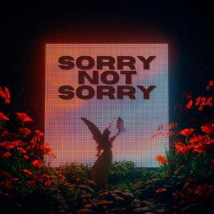 Sorry Not Sorry (Explicit)
