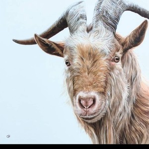 Thom Brady (Explicit)