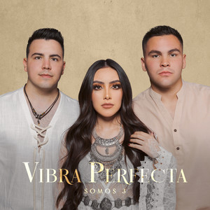 Vibra Perfecta