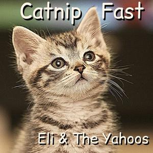 Catnip Fast