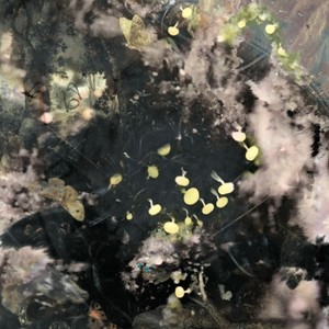 Æthereal Arthropod X Seraphim - Total Thy Demiurge