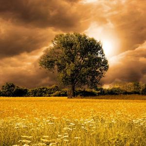 Will They Or Won't They?