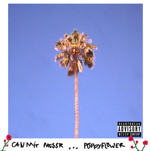 Poppyflower (Explicit)