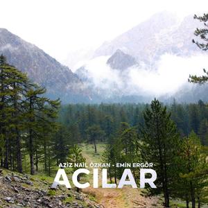 Acılar (feat. EMİN ERGÖR)