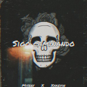 Sigo Caminando