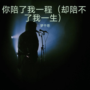 梦千寻 - 你陪了我一程
