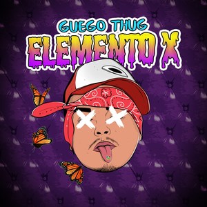 Elemento X