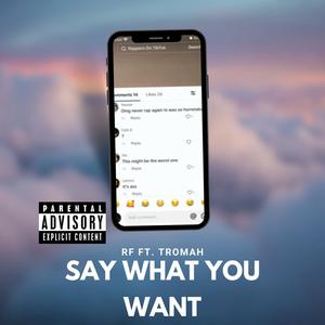 SAY WHAT YOU WANT (feat. Tromah) (Explicit)