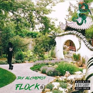 FLOCK (Explicit)