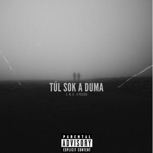 Túl sok a duma (feat. PXISXN) [Explicit]