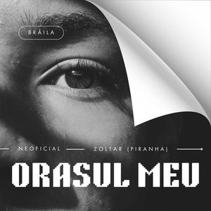 Oraşul Meu (feat. Zoltar PIRANHA)