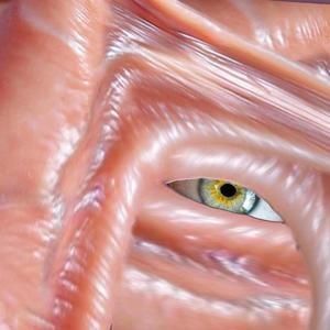 Cruel Youth (feat. Troxum) (Abdu Ali Remix|Explicit)