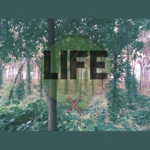 Life (Vip Remix)