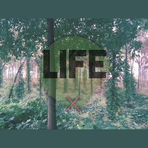 Life（VIP Remix）