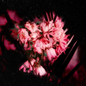 enough (feat. Angels Walk) (Explicit)