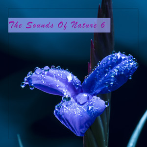 The Sounds of Nature 6