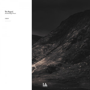 Carácter (Original Mix)