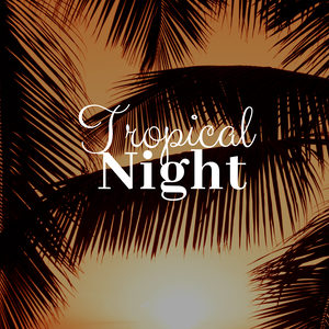 Tropical Night 33 - Relaxing HQ Music for Sleeping