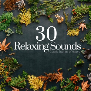 30 Relaxing Sounds: Gentle Sounds of Nature for Positive Energy, Relaxing Music for Deep Sleep, Meditation & Yoga, Self Hepnosis Therapy