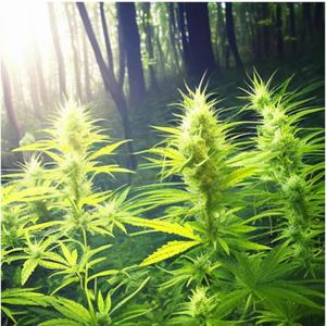 better herb (feat. bleaky)