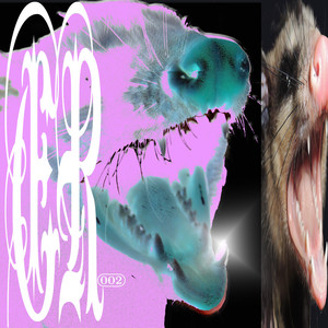ER002