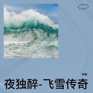 夜独醉-飞雪传奇封面