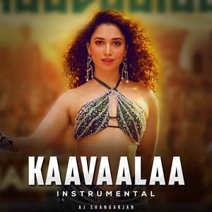 Kaavaalaa - Instrumental Cover